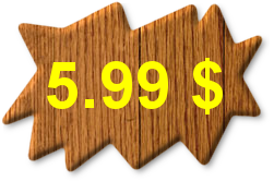 Buy Spycam Lizard Standard